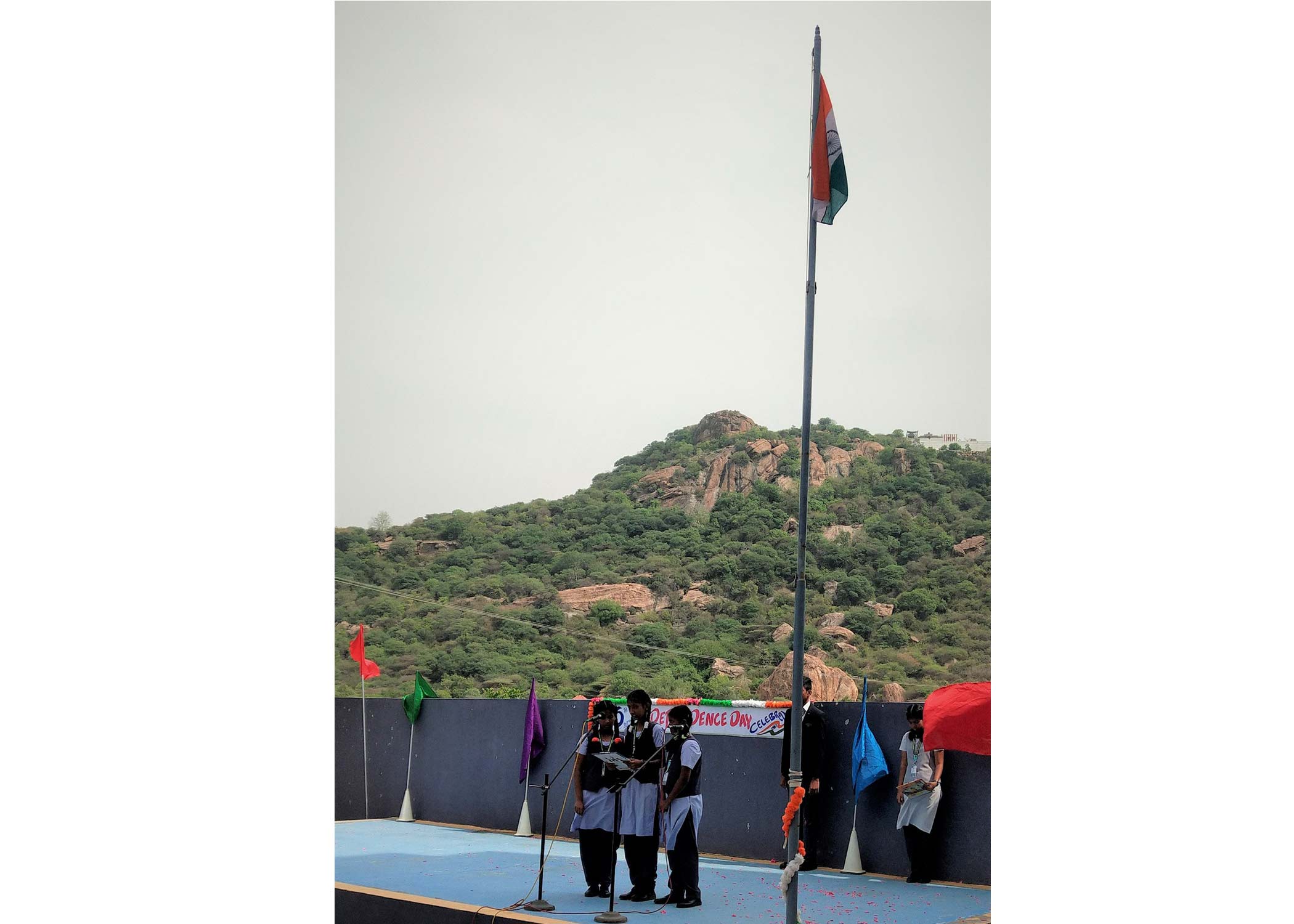 Image Here